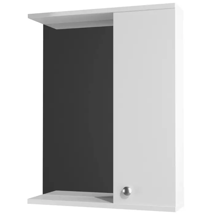 Зеркало Моника прав_1