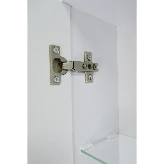 Зеркало Моника лев_3