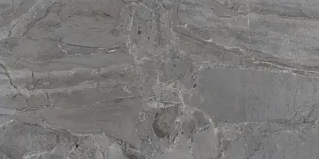 P231123005G ELEGANT GRIS (4)