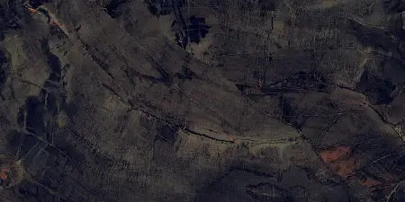 P231123003HG FOSSIL AGATE (4)